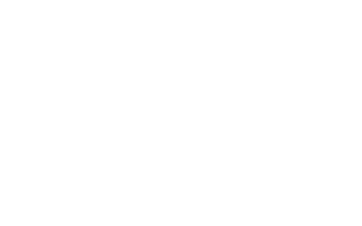 ships logo white